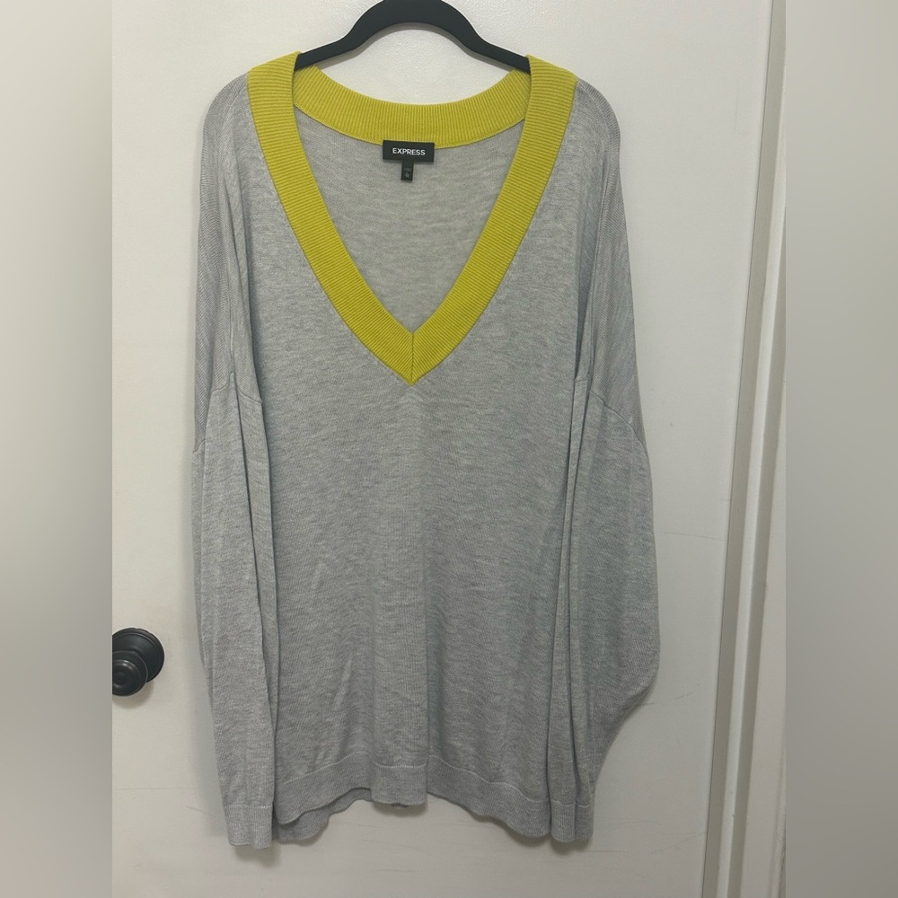 Express Women’s V-Neck Gray Sweater